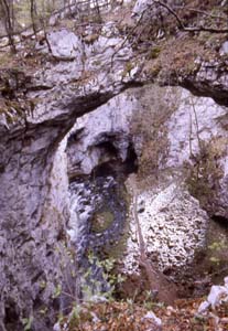 Il Piccolo Ponte Naturale (Mali Naravni Most)